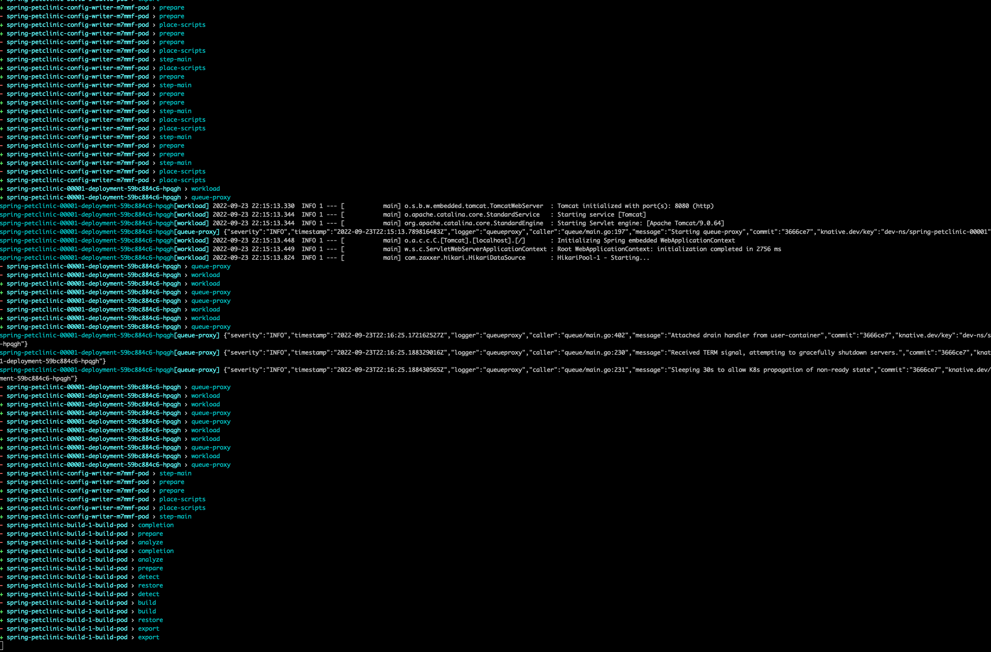 Tail not showing all logs in run pods · Issue #351 · vmware-tanzu/apps ...