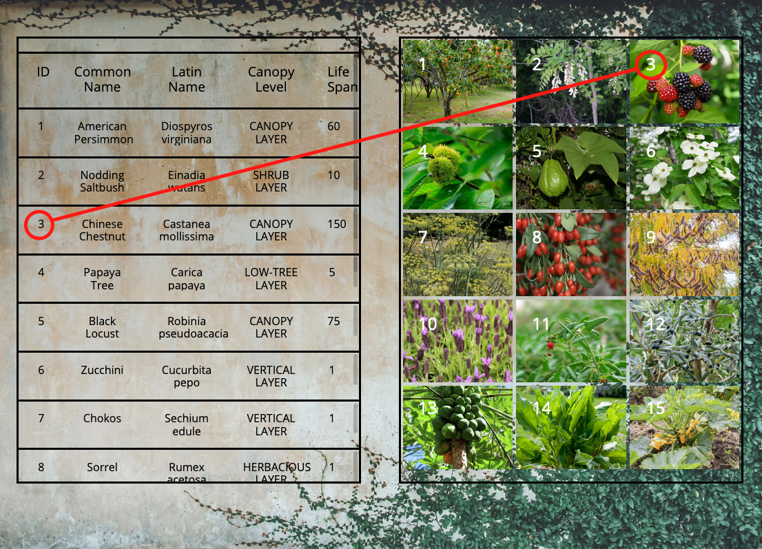 Screenshot 2019-08-08 at 16 37 53