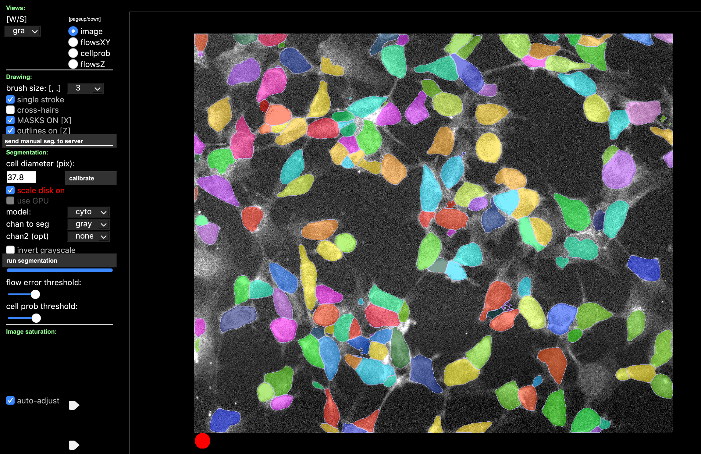 Cellpose results slightly different on my computer vs. website · Issue ...