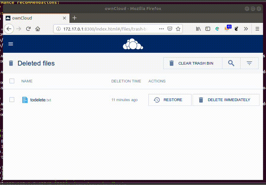 a single file cannot be deleted from trashbin · Issue 1724 · owncloud