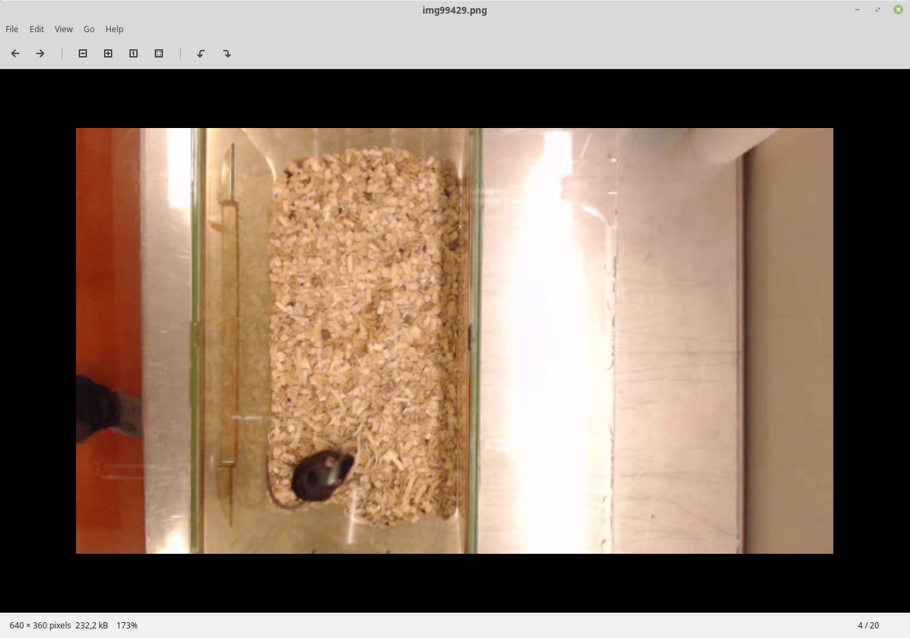 Screenshot from 2019-03-31 13-26-11