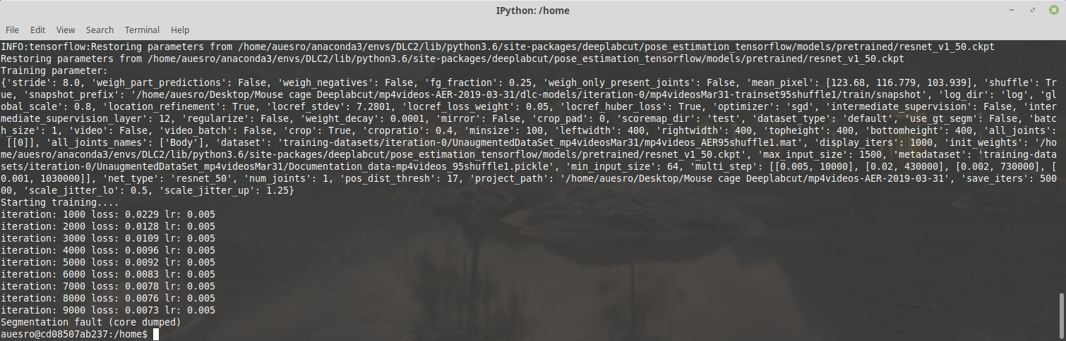 Screenshot from 2019-04-01 10-20-01