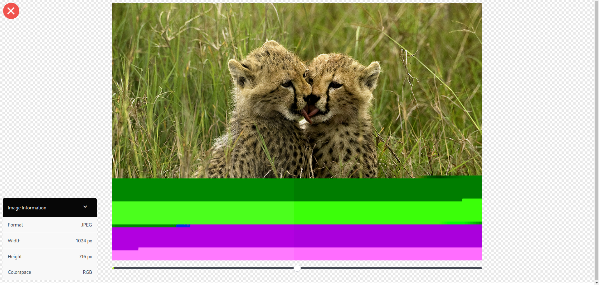 Incorrect decoding of some real-world JPEG images · Issue #12 ...