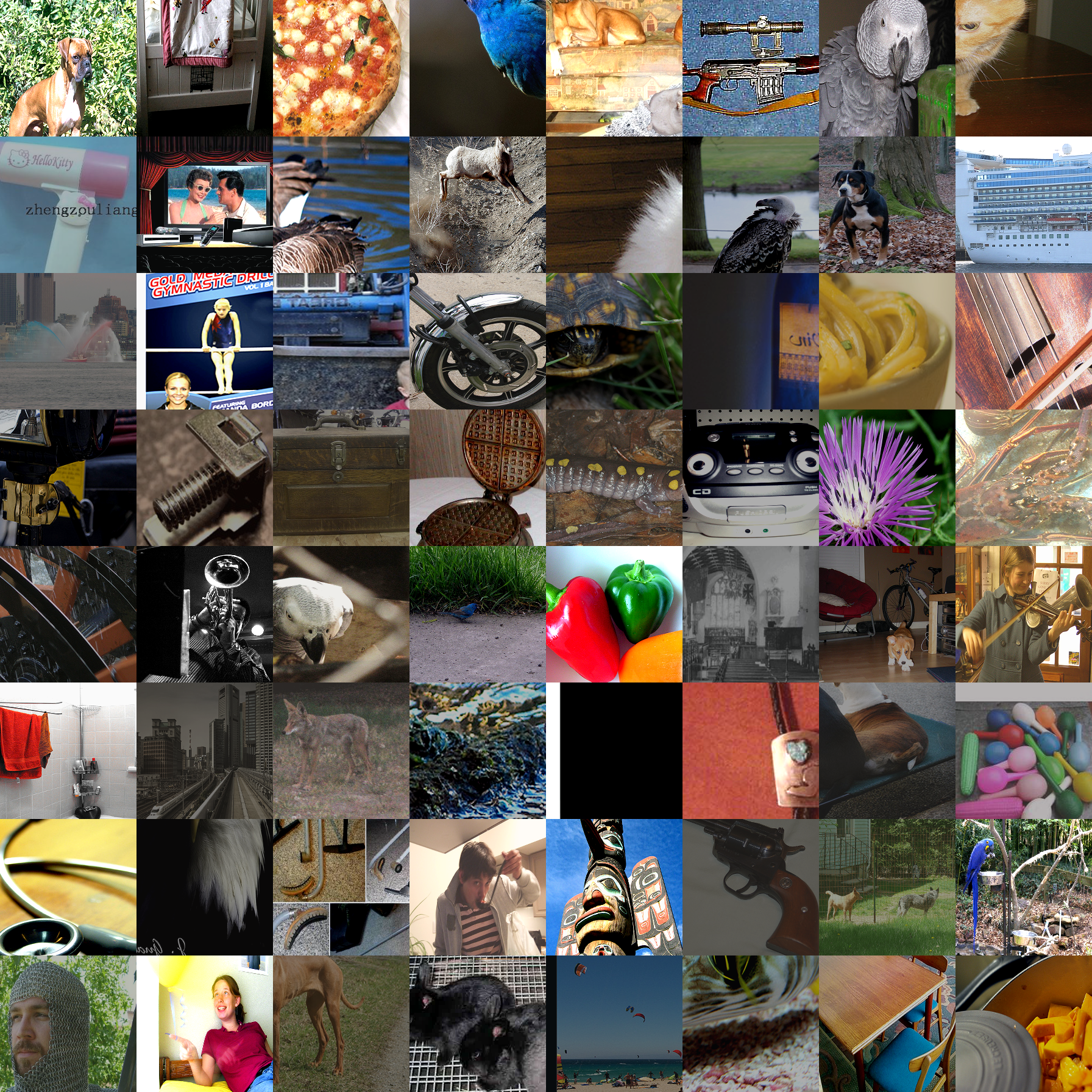 without_imgaug_saturation