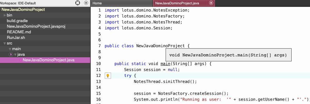 Domino Java Application Template · Issue #903 · Moonshine-IDE/Moonshine ...