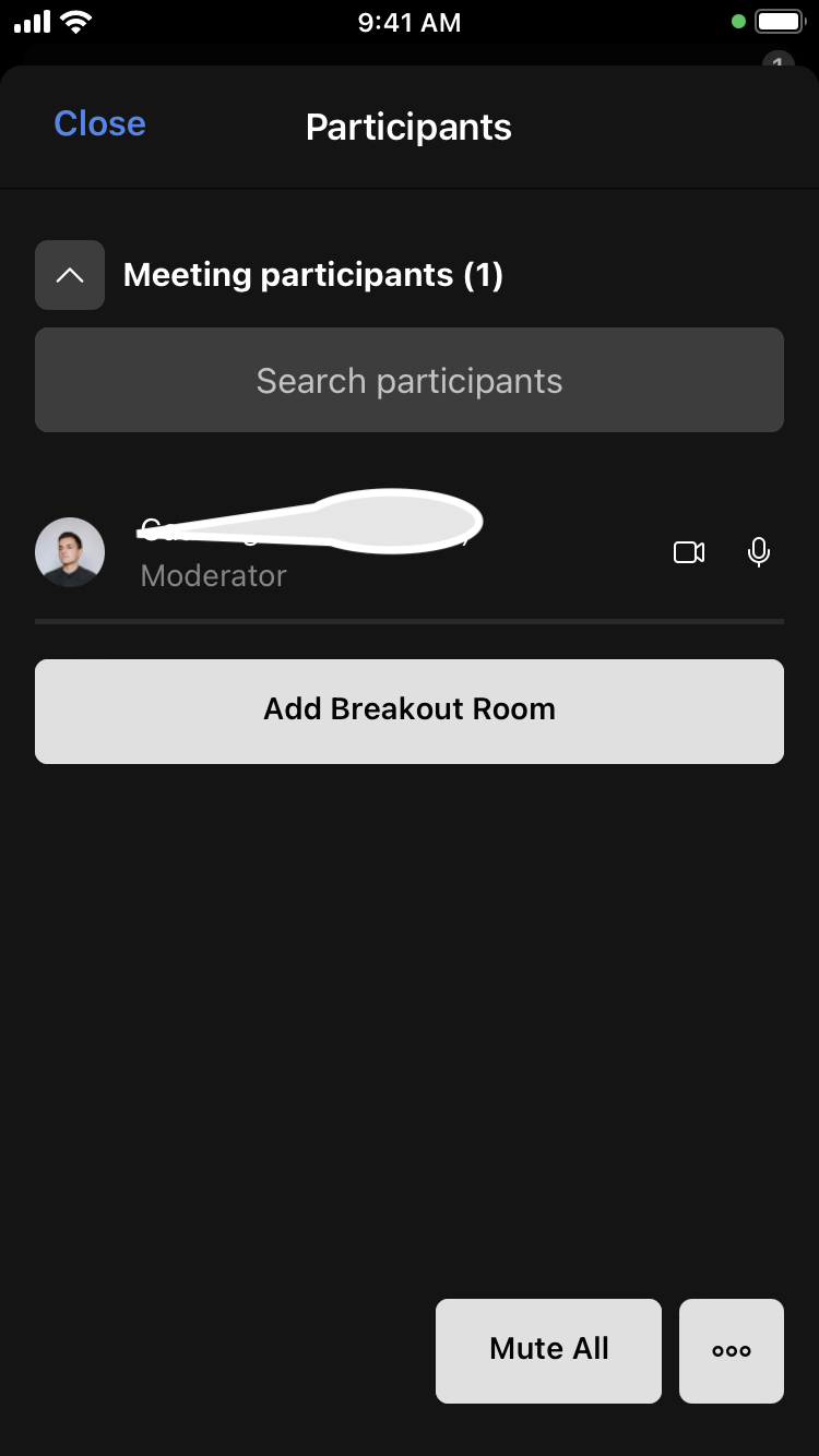 How can I Hide the participant List Button in the IOS App? · Issue