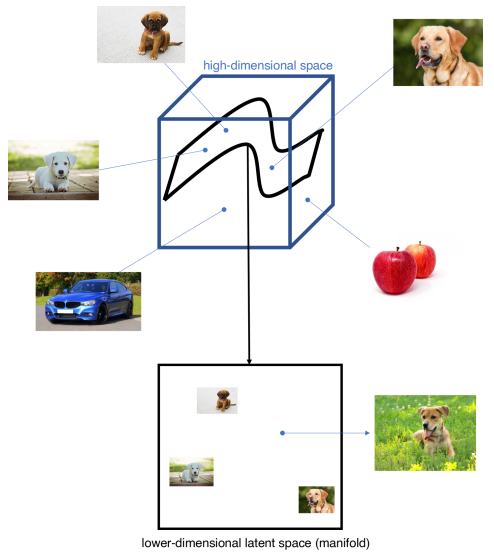 Space of images showing different manifolds for dogs, cats, cars, etc.