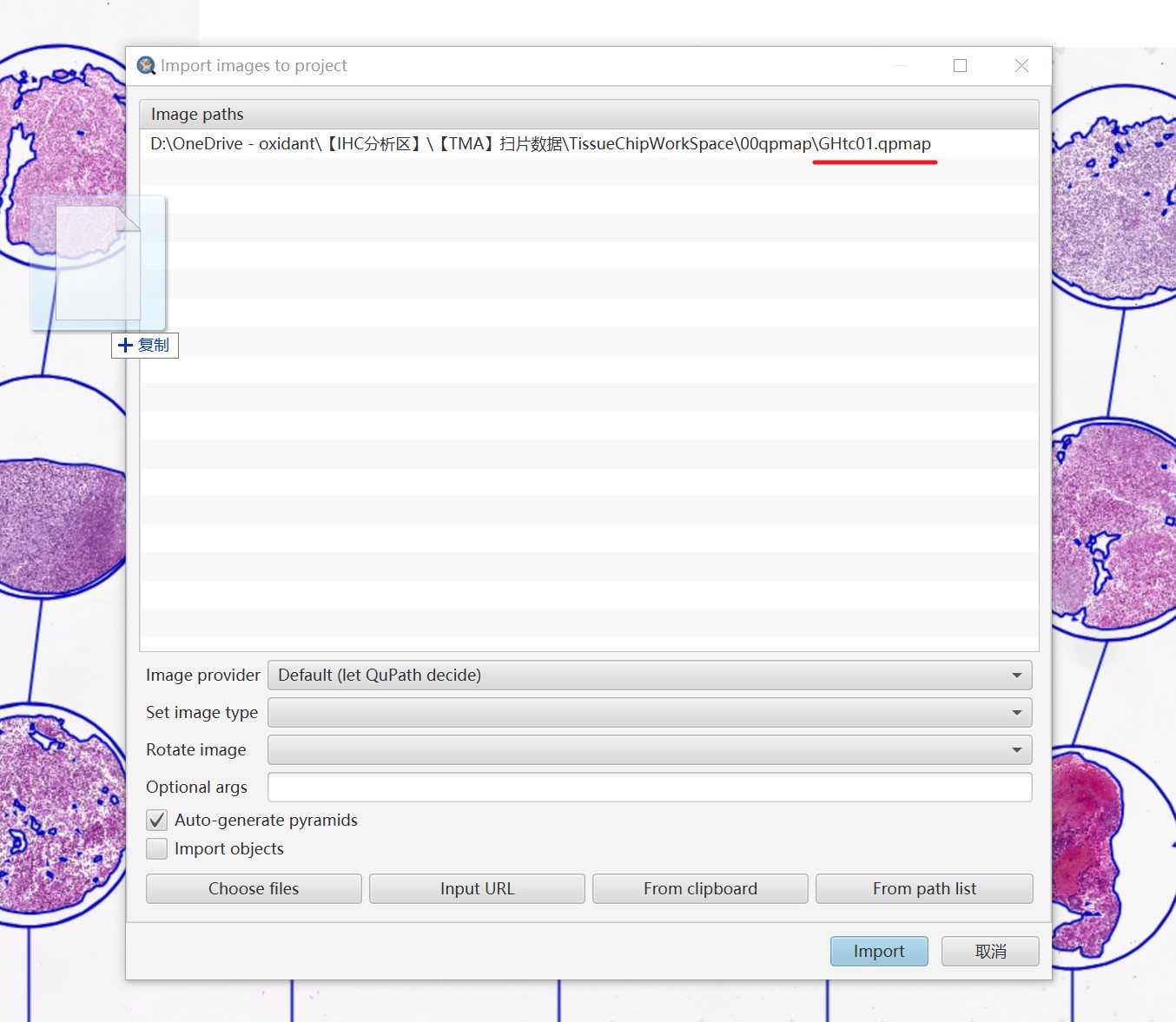".qpmap" can't drag and drop in QuPath 0.3.0 · Issue #829 · qupath ...