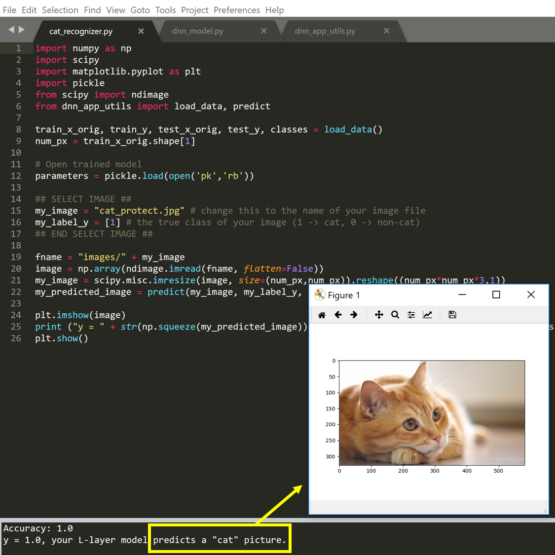 GitHub - patrickdang/cat_recognition_deep_neural_network: Cat image ...