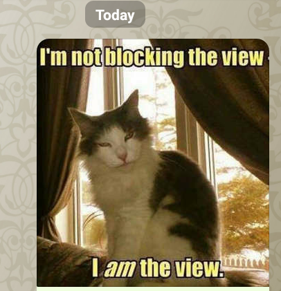 screenshot_20190131-082713