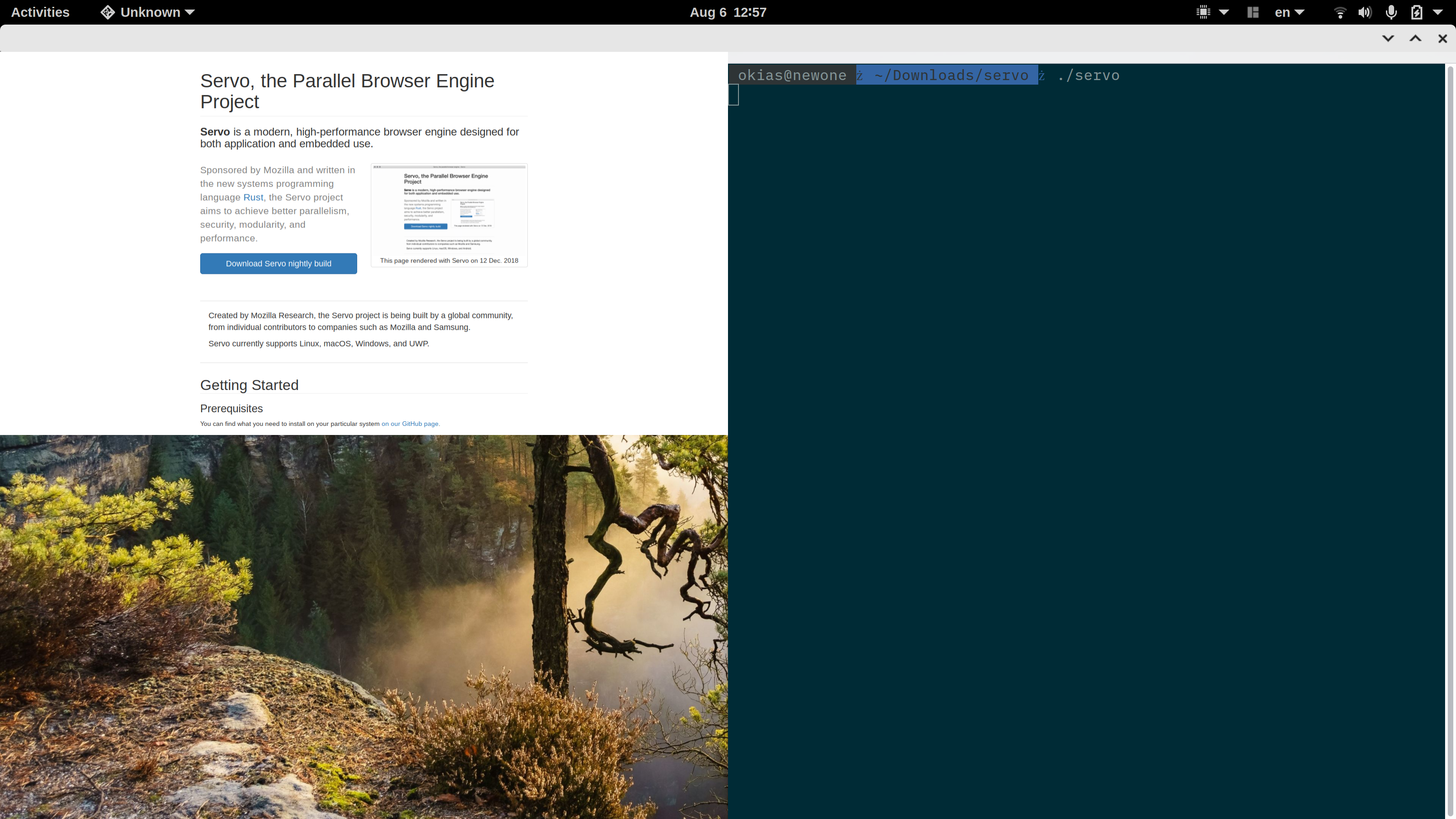 4K issues with window content · Issue #27518 · servo/servo · GitHub
