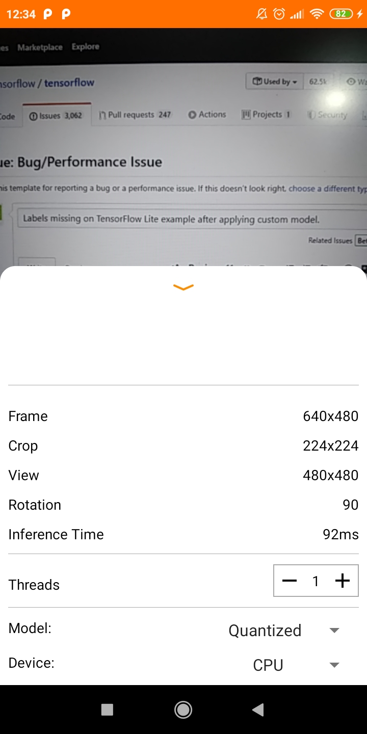 Labels missing on TensorFlow Lite example after applying custom model ...