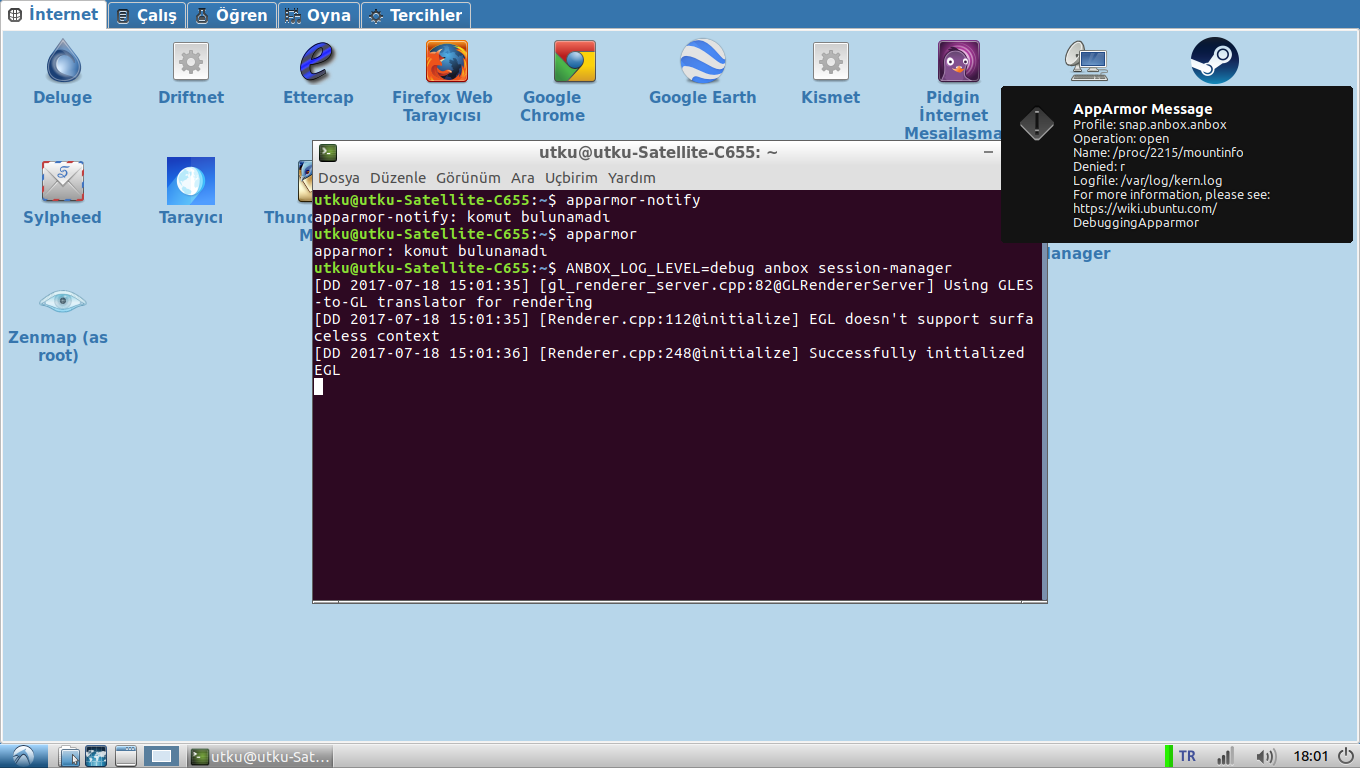 Anbox remains "starting" but never actually starts · Issue 367 · anbox