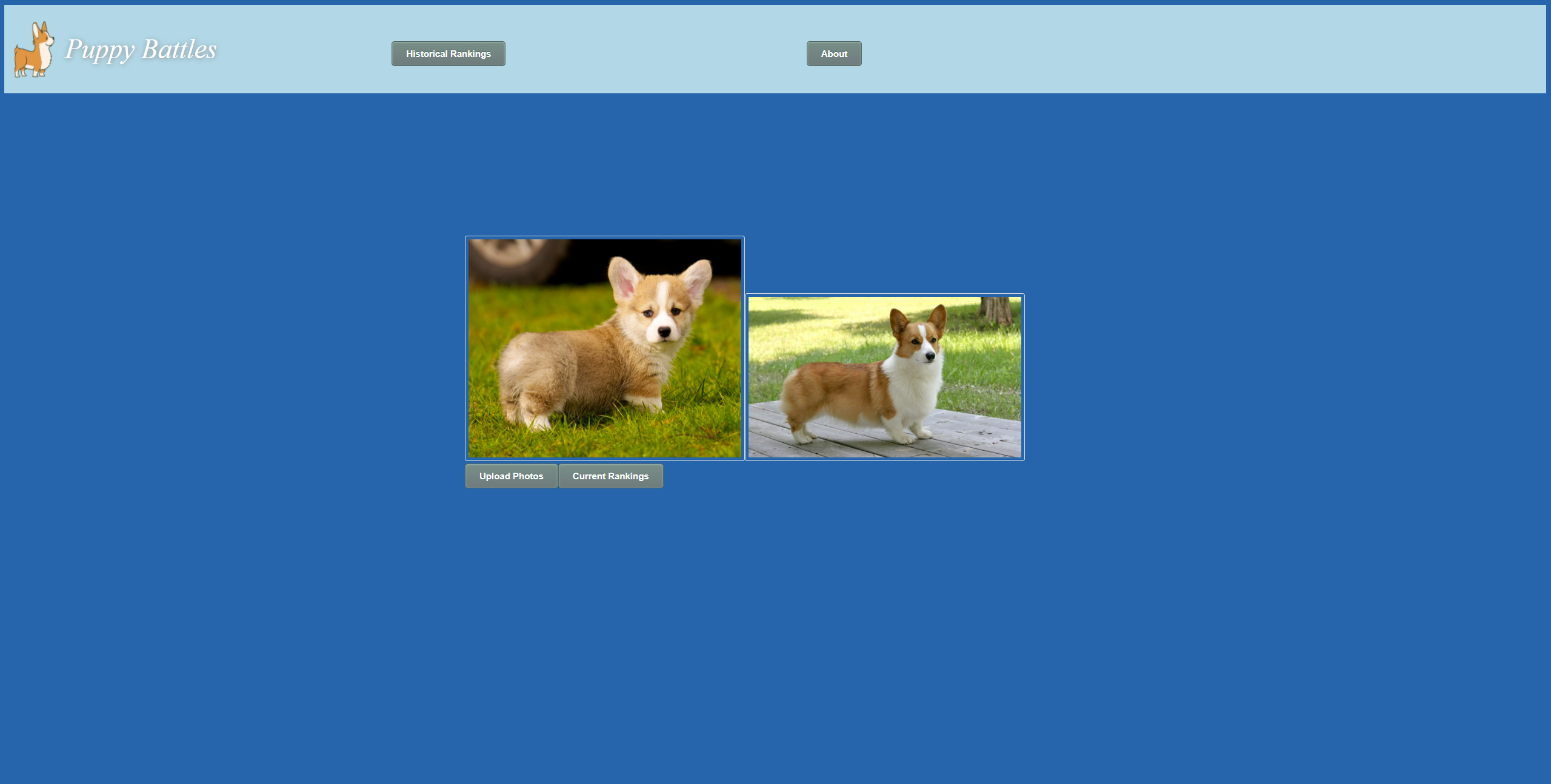 GitHub - AlexTing1/Puppy-Ranker: Ranks puppy that users upload to ...