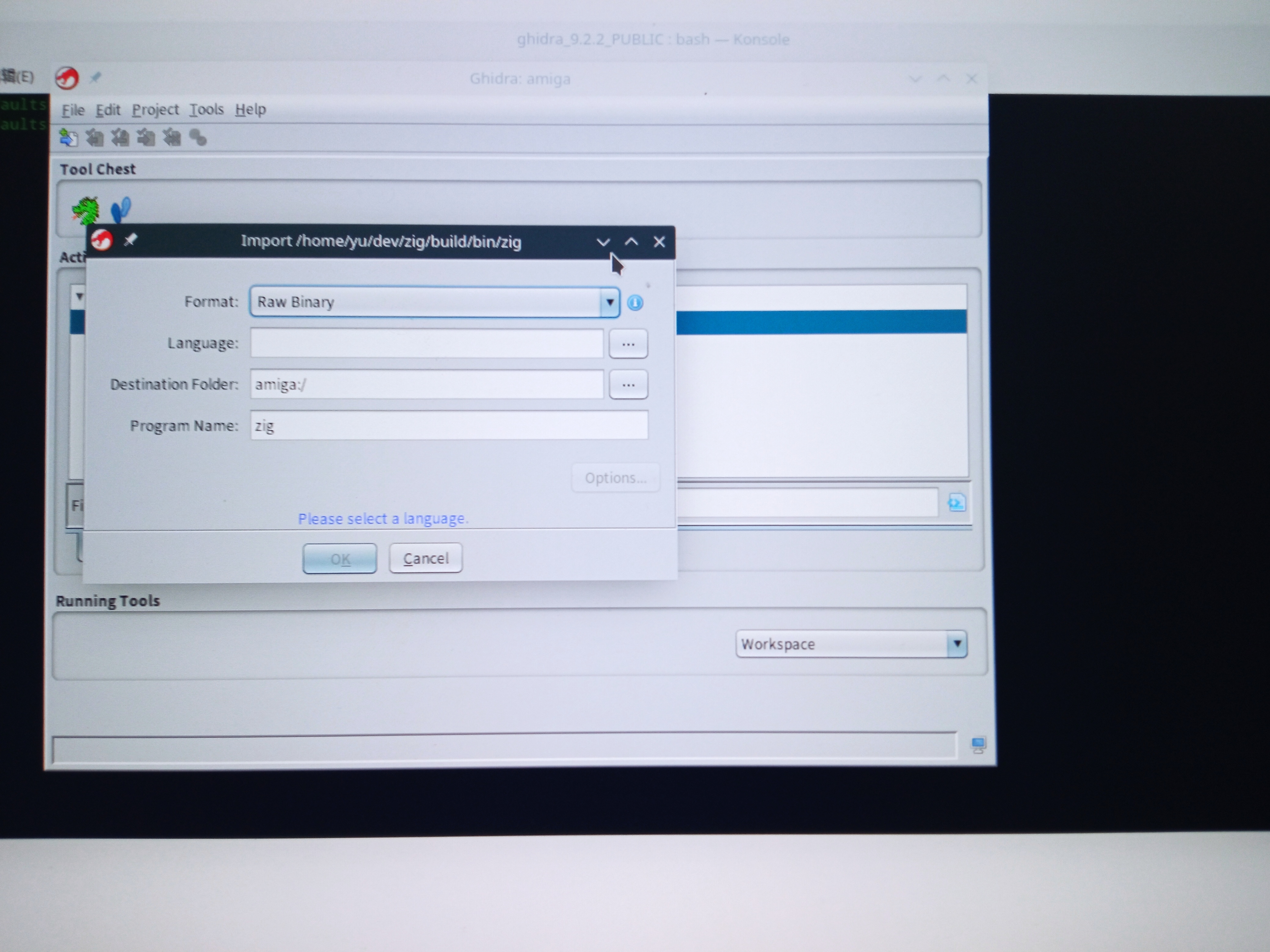 Ghidra with jdk16 · Issue #2879 · NationalSecurityAgency/ghidra · GitHub