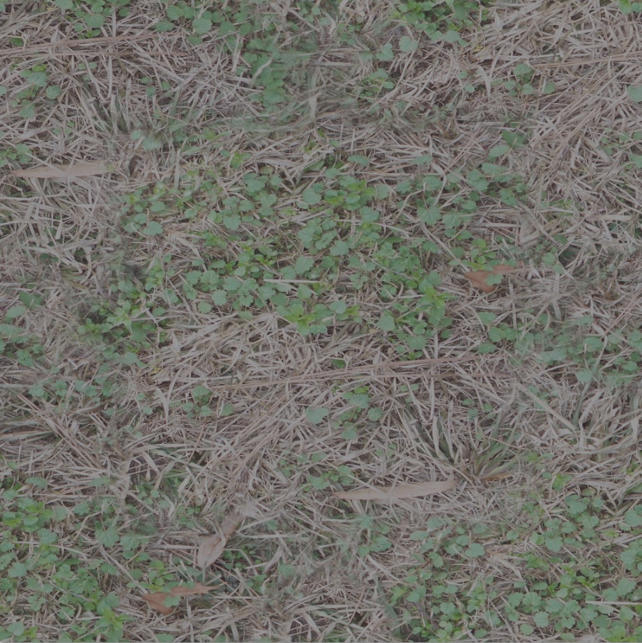 my_texture_color