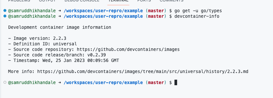 go pkgs cannot be installed in latest universal image · Issue #405 ...