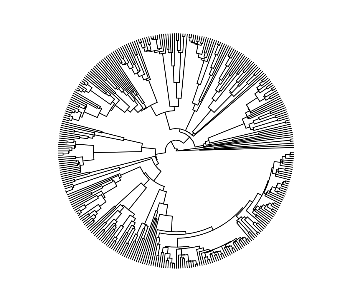 5383e9e9-232f-4e67-bed7-594402d2a7d2
