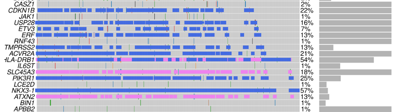 Question about the meaning of mutation percentage in oncoplot · Issue ...
