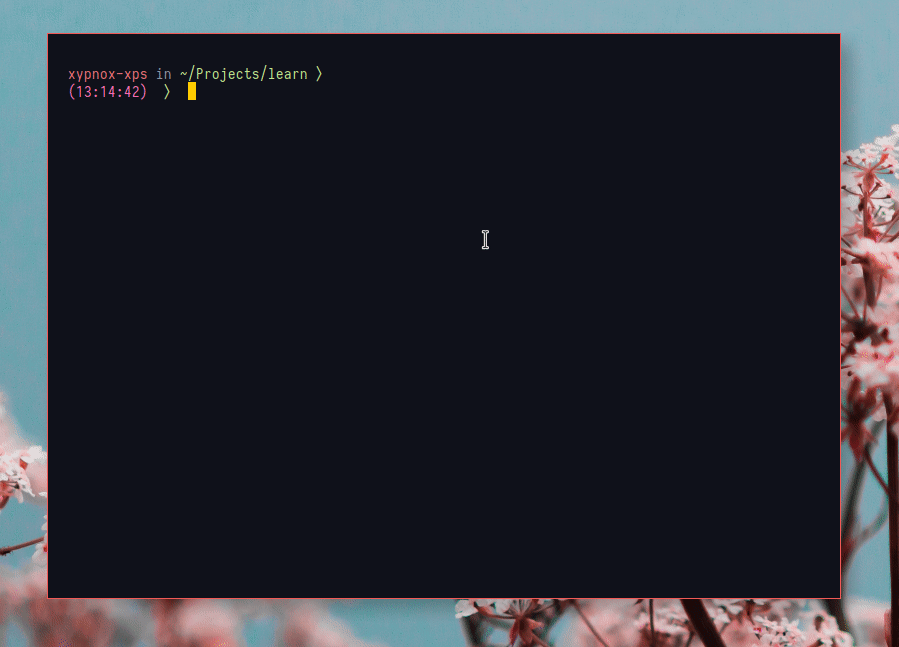 Peek 2019-05-21 13-15