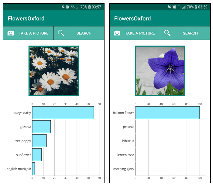 GitHub - QArtur99/TF_FlowersOxford: Android app that uses MobileNetV2 ...