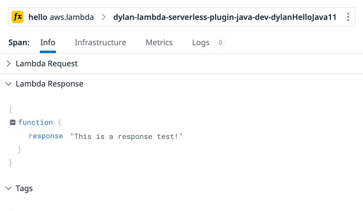 Capture lambda response by DylanLovesCoffee · Pull Request 4380