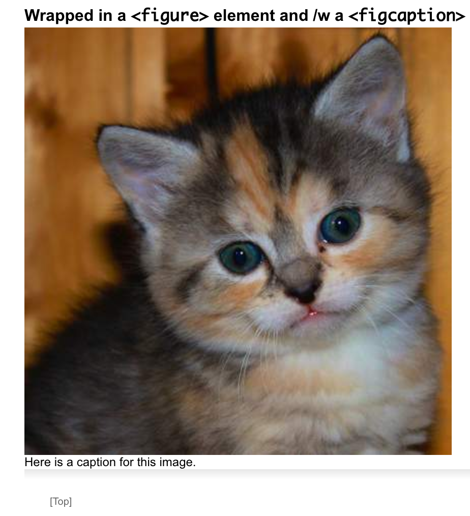 figcaption-SystemModeler