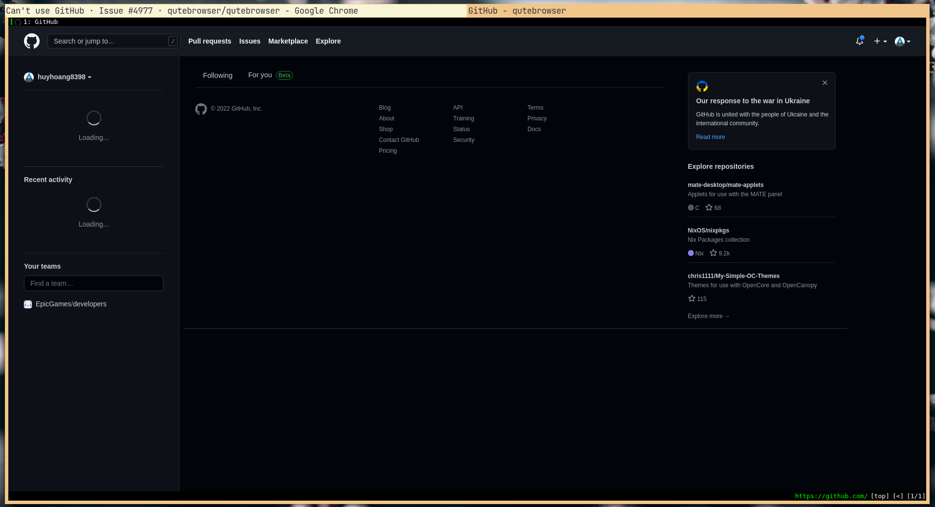 Can't use GitHub · Issue #4977 · qutebrowser/qutebrowser · GitHub
