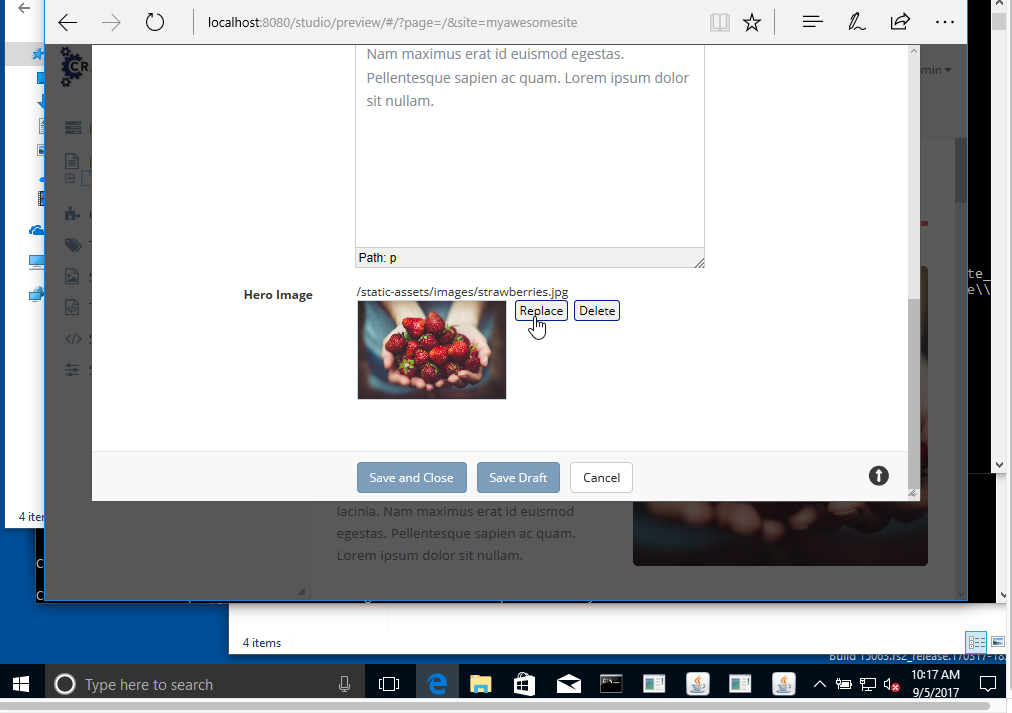 screen shot 2017-09-05 at 1 33 42 pm