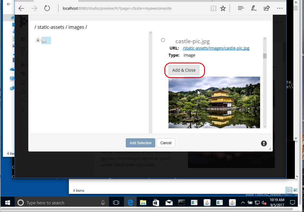 screen shot 2017-09-05 at 1 35 02 pm