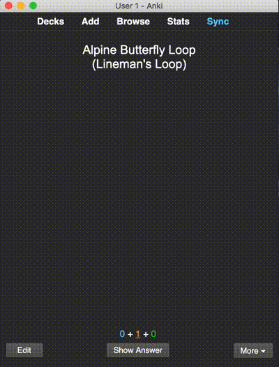 example carousel