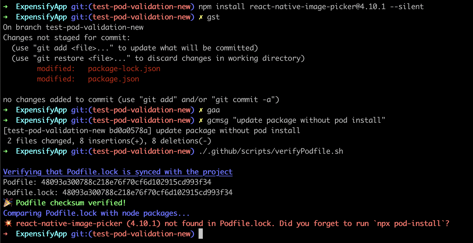 Update package without pod install - failed