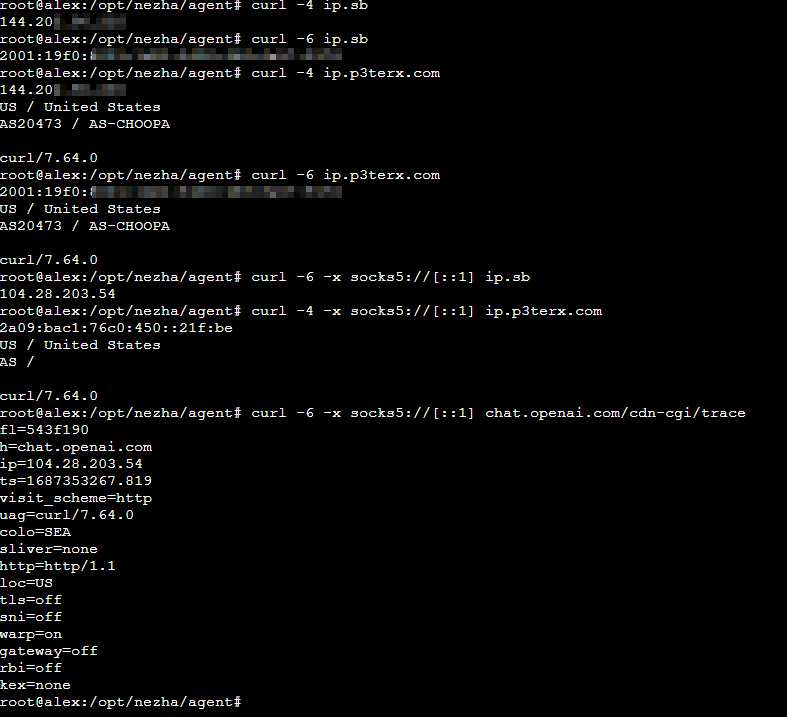 VPS 本地有 socks5 (socks5//127.0.0.140000) 是双栈的，请问如何设置指定使用该socks5 的 IPv4