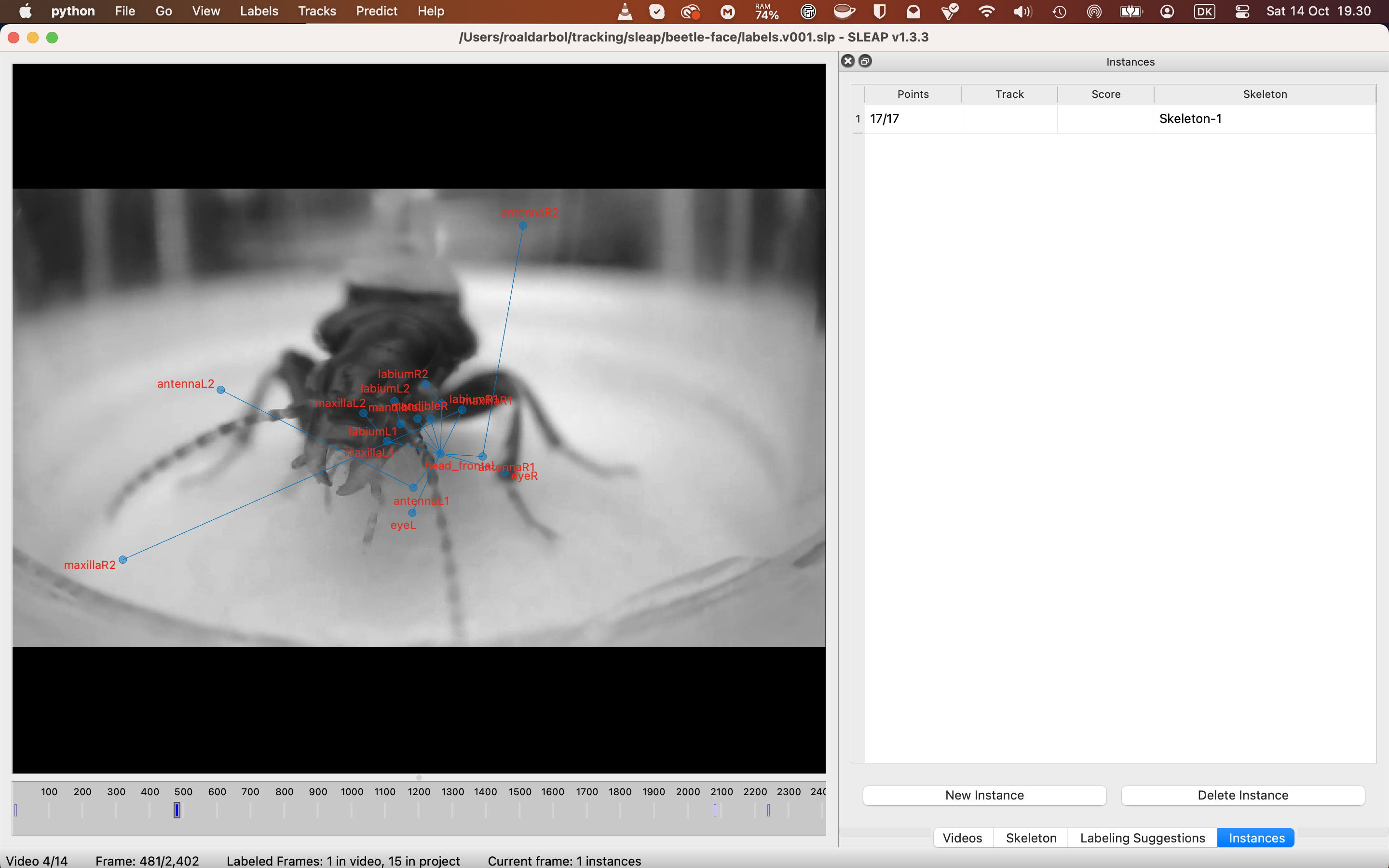 New label placed outside the frame · Issue #1551 · talmolab/sleap · GitHub