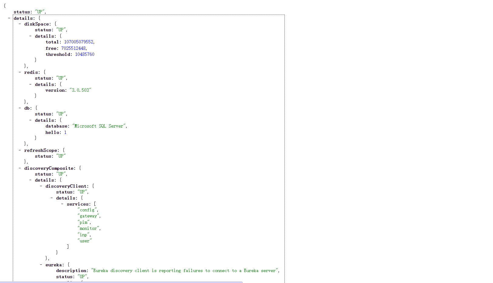 endpoint "..../actuator/health" url is ok but Instance details Health