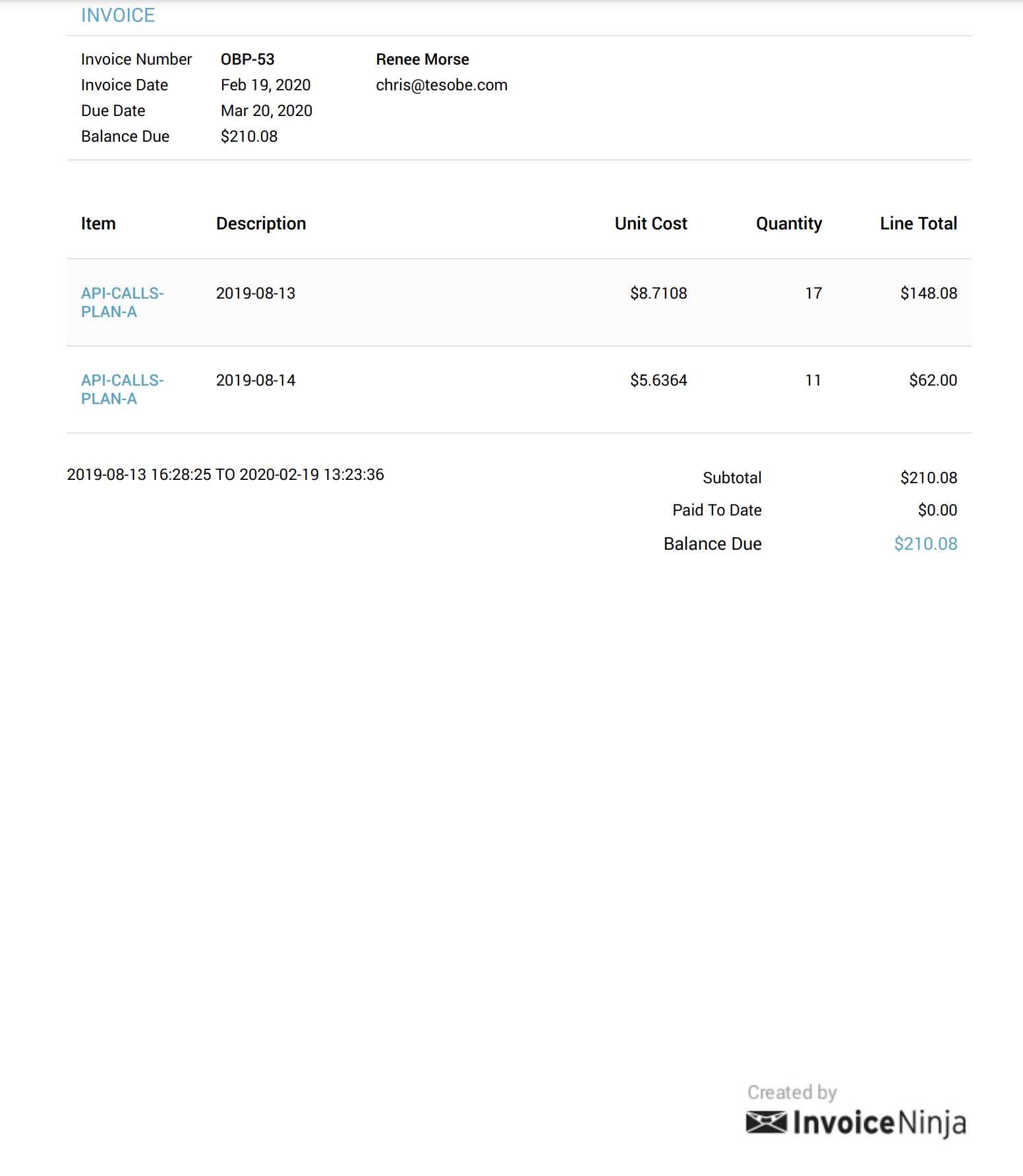 Invoice pdf