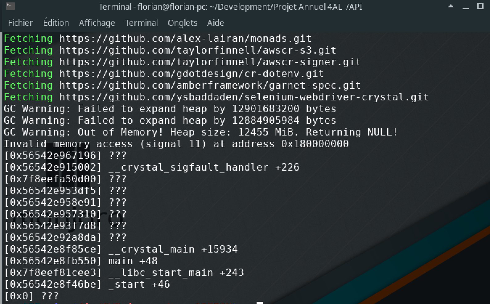 Shards install - Out of memory · Issue #287 · crystal-lang/shards · GitHub