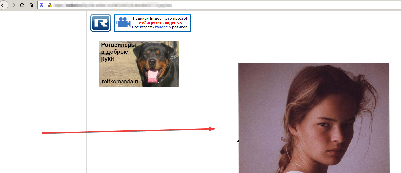 [support] LiveJournal proxy images · Issue #755 · qsniyg/maxurl · GitHub