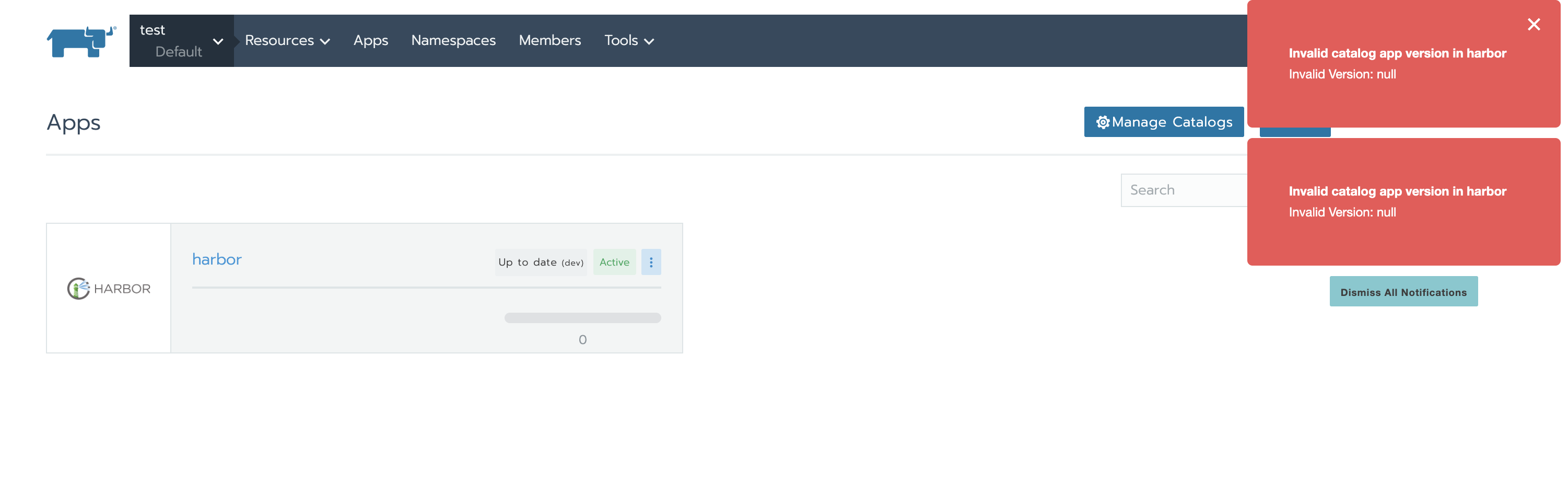 Invalid catalog app version version null when version is a string