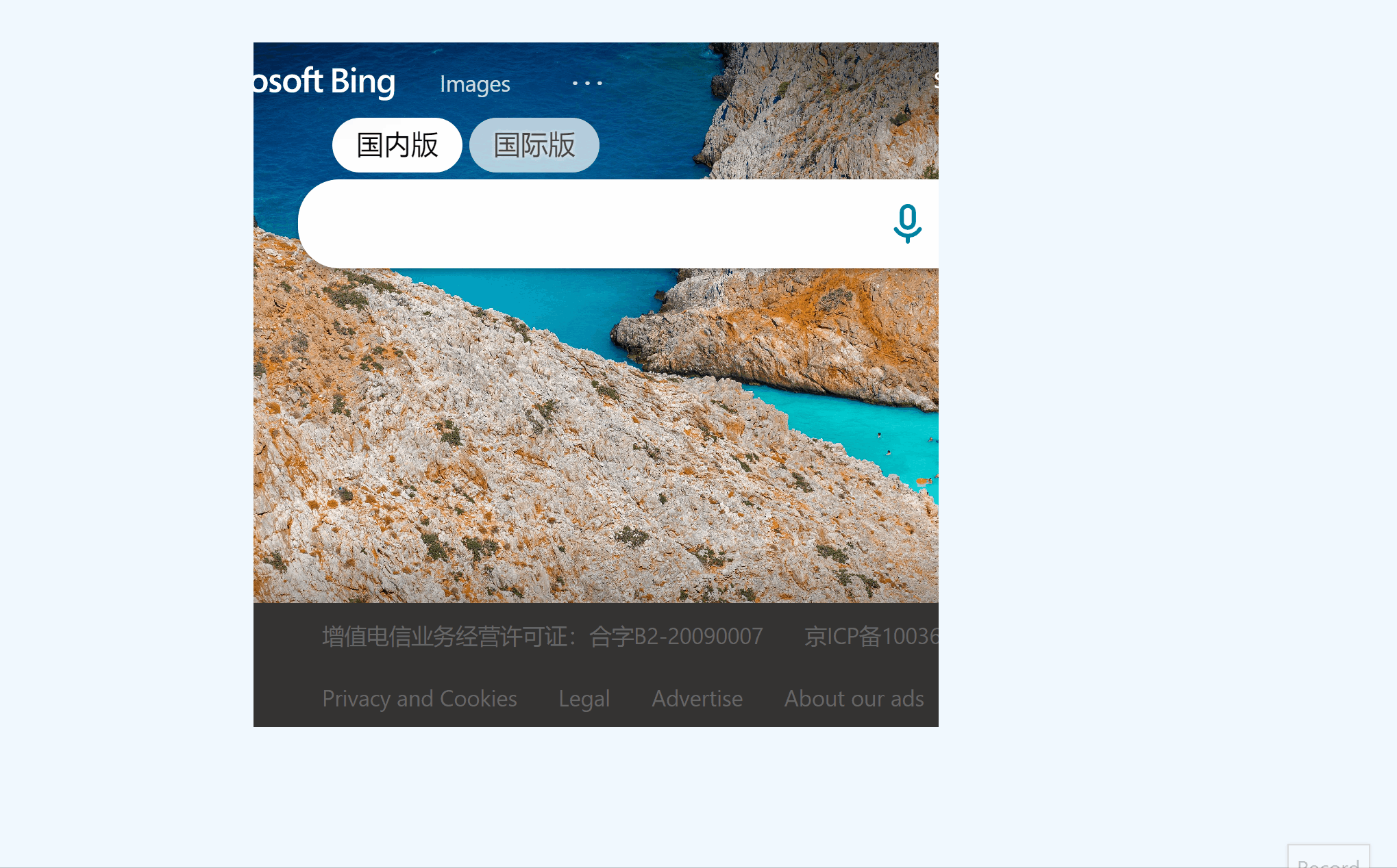 webview2 issue