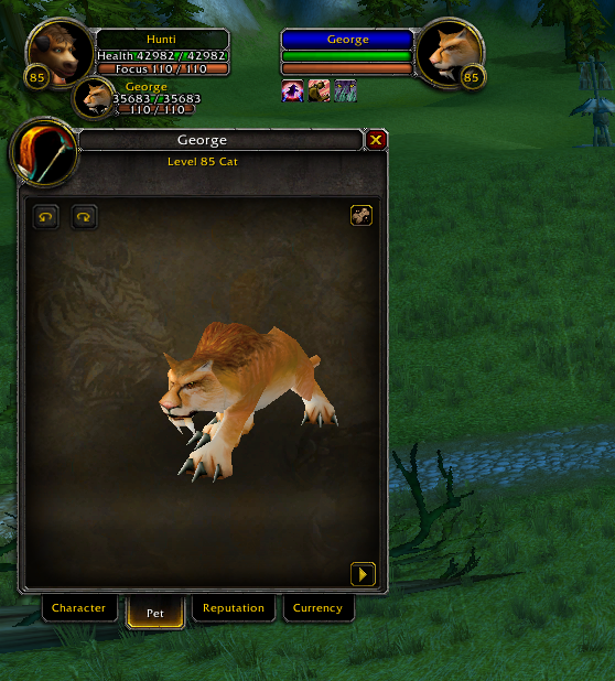 [Hunter/Pets] Rename Issue / Certificate of Ownership · Issue 2738