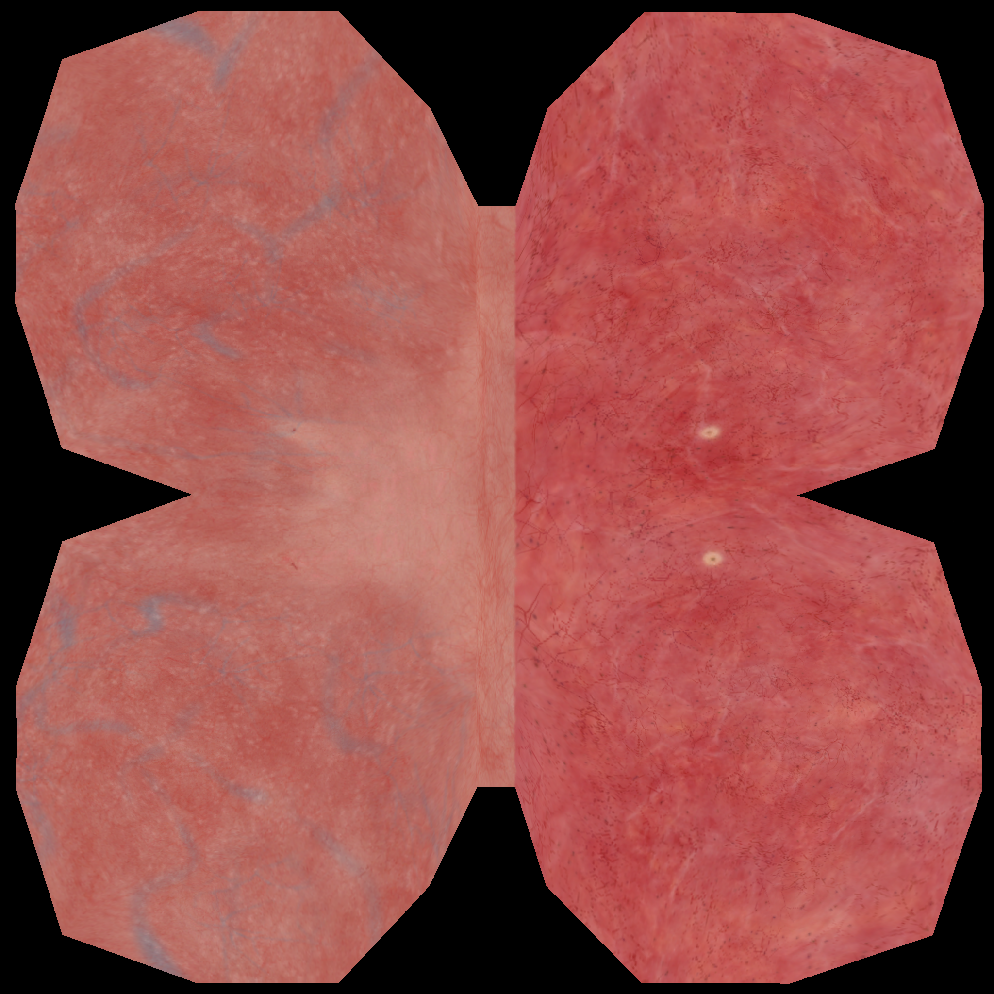 File Tree Code Base bladderslam_EVS3D/generateTexture at main · BBOL-team/bladderslam_EVS3D ...