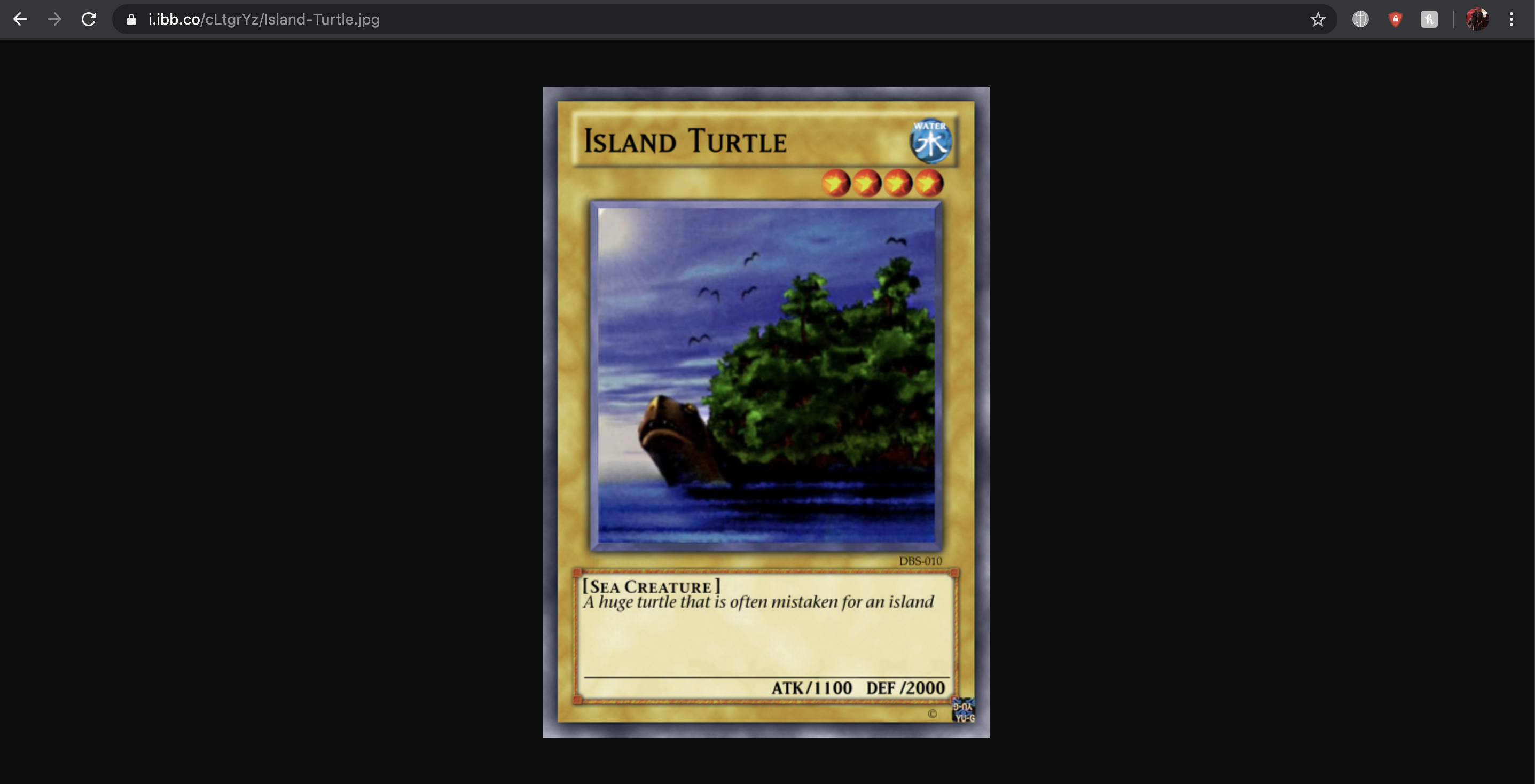 Custom Cards not displaying images/displaying alternate images  Issue  #3893  Cockatrice/Cockatrice