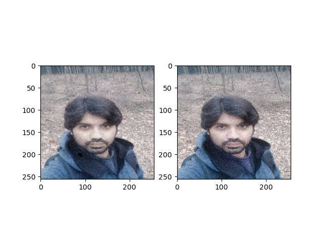 GitHub - sander-ali/Deep_Image_Prior_Pytorch: This repository provides ...
