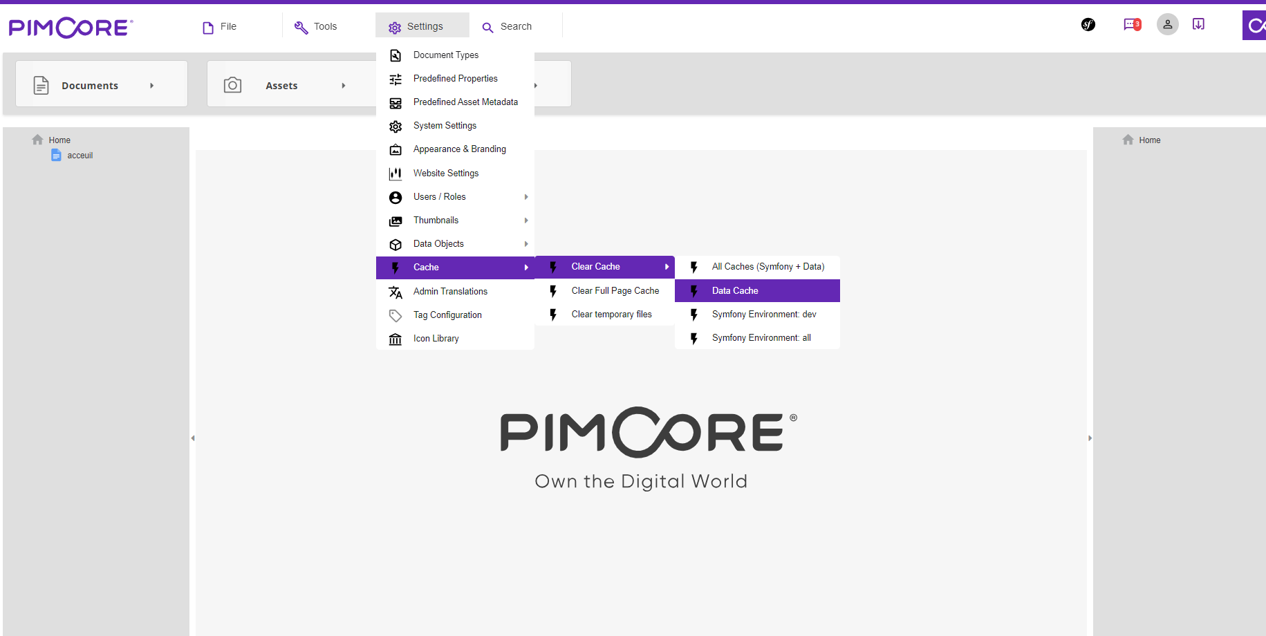 PimCoreTemplateAdmin (1)