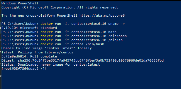 Official Centos6.10 Interactive Terminal Not Working WSL2 · Issue #9362 ...