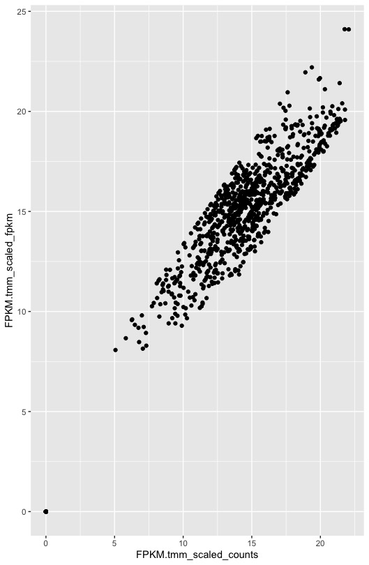 TMM normalization · Issue #11 · kfuku52/amalgkit · GitHub