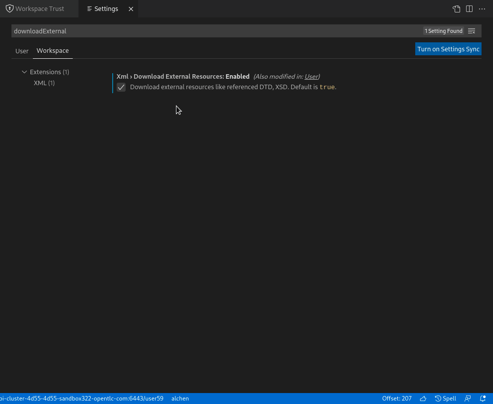 workspacetrustdownloadexternal
