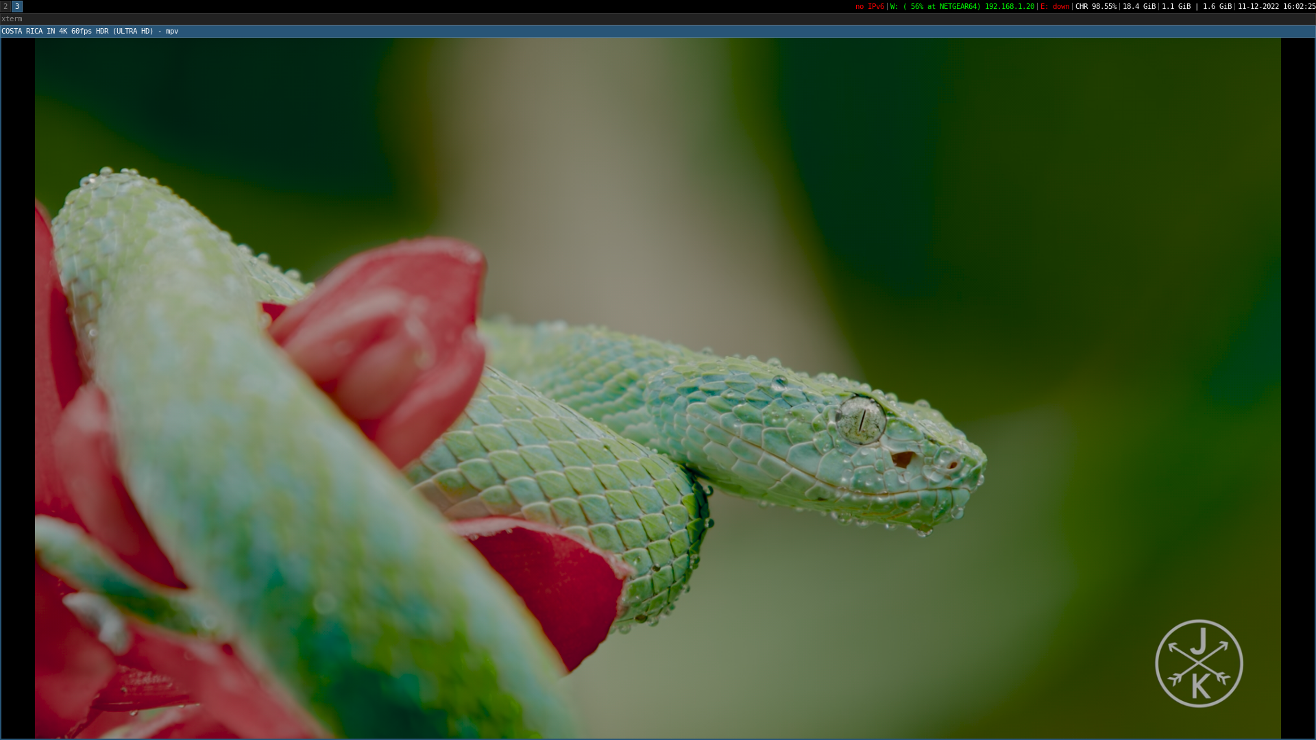 2022-11-12-160225_1920x1980_scrot
